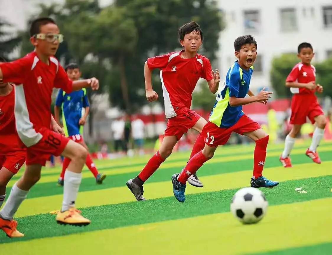 韩色色色视频综合媒：韩代总统韩德洙或将辞职宣布竞选总统
